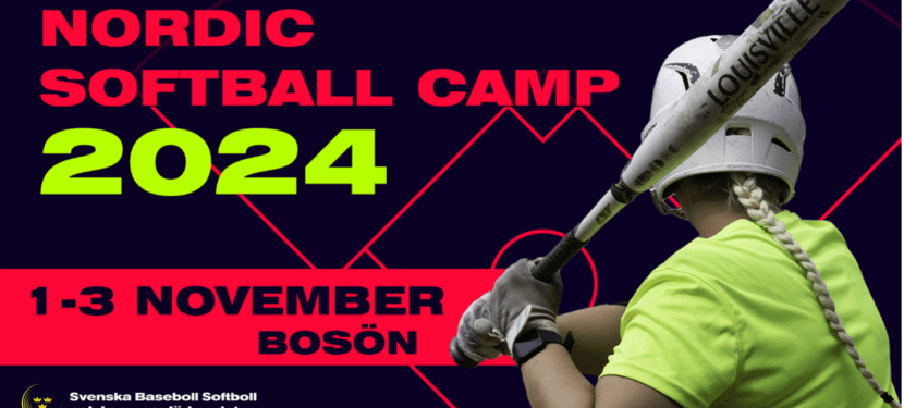 Nordic Softball Camp